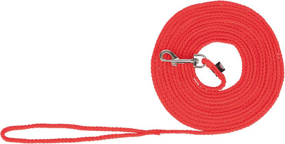 Laisse pour Chat 5m