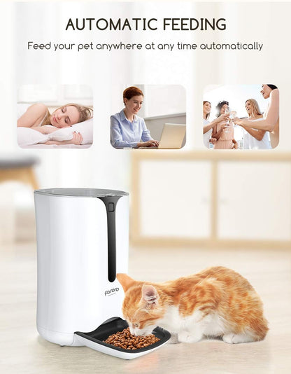 Distributeur Croquettes Chat 7L