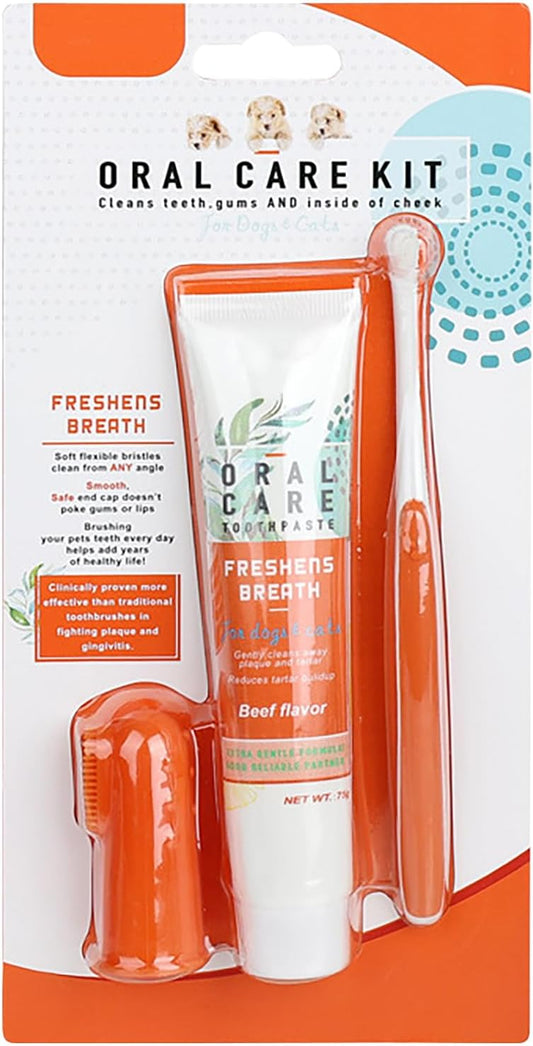 Brosse à Dents Et Dentifrice