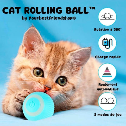 Jouet pour Chat Balle Interactive