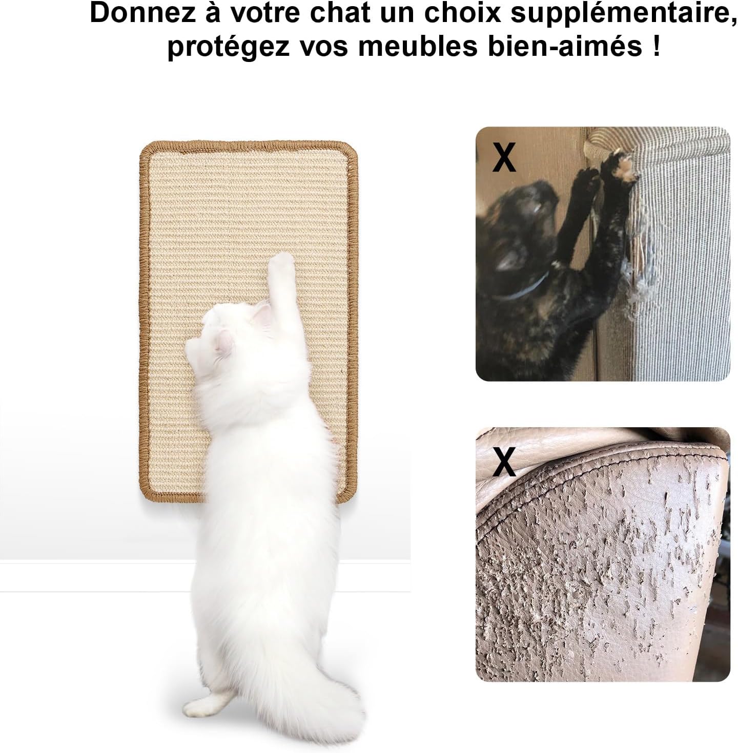 Griffoir Chat 50 x 30 cm