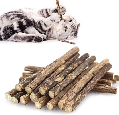 Bâton à Mâcher (30 PCS)