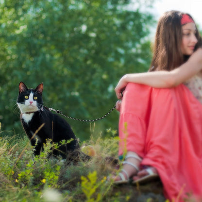 Laisse pour Chat 9m