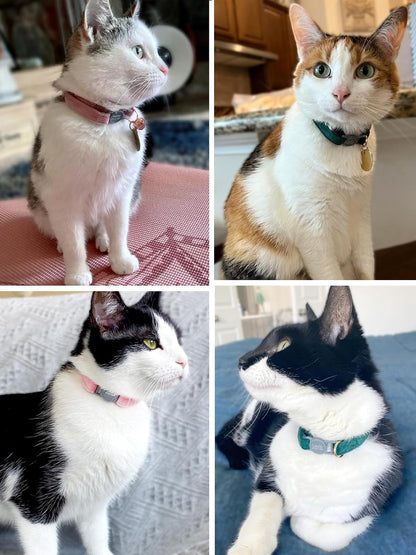 Collier Chat libération rapide personnalisé