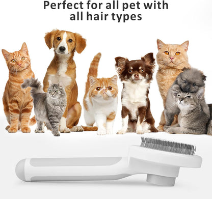 Brosse pour Chat