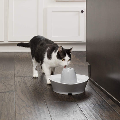 Fontaine à Eau Chat Céramique 1,8L