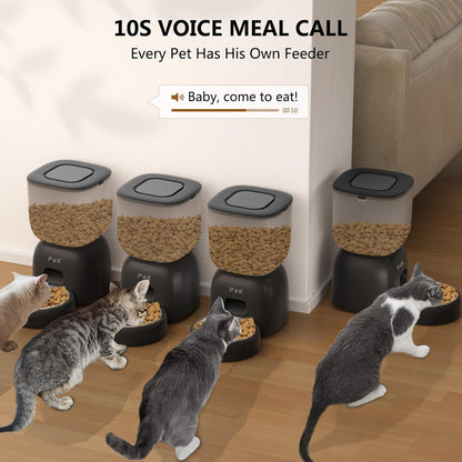 Distributeur Croquettes Chat 3L