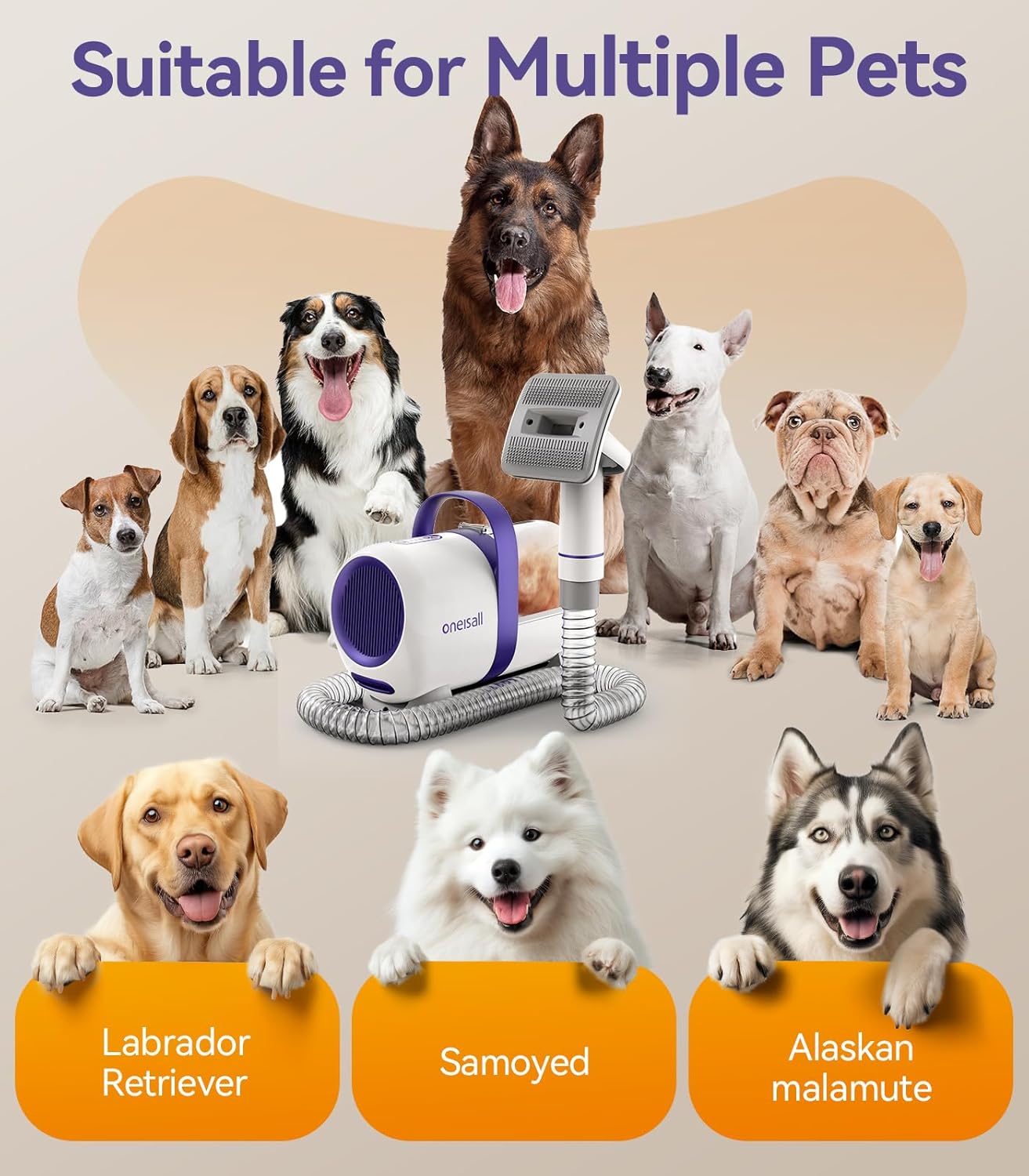 Toilettage chat Tondeuse Aspirateur