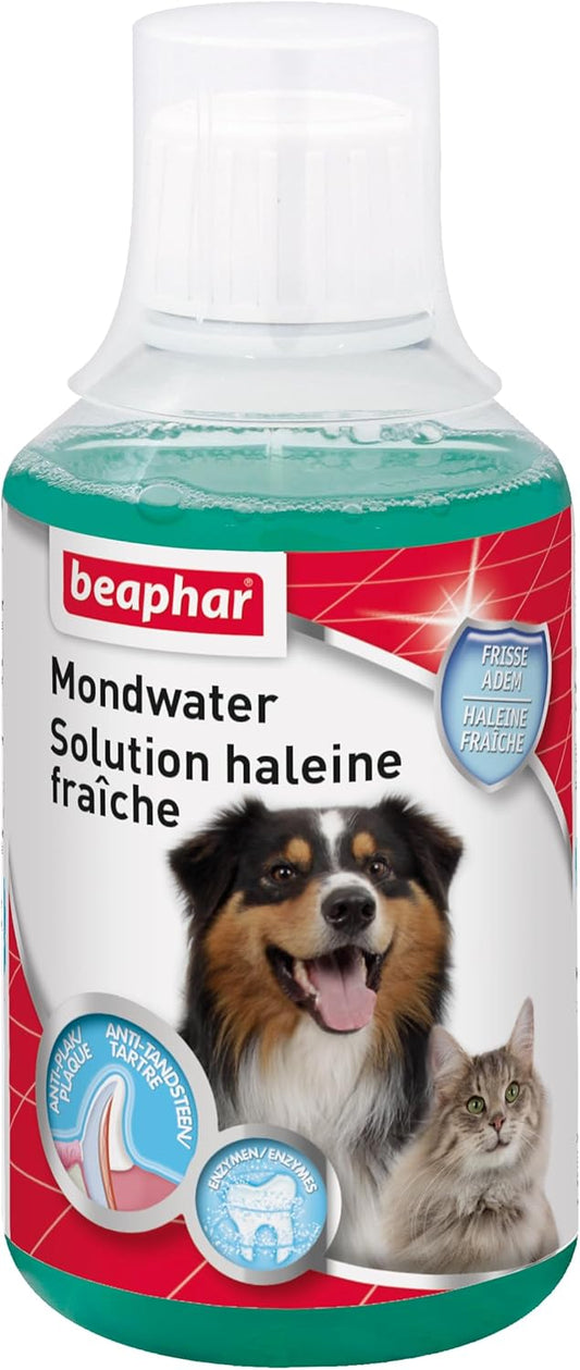 Brosse à pour dents Solution haleine fraîche