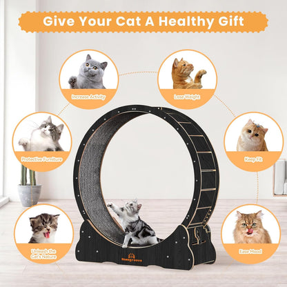 Roue pour Chat  110 cm