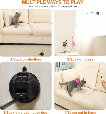 Jouet pour Chat 13 PCS