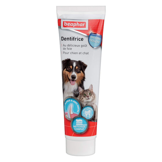 Brosse à pour dents - Dentifrice haleine fraîche