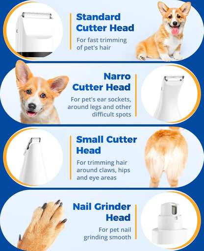 Toilettage chat Tondeuse