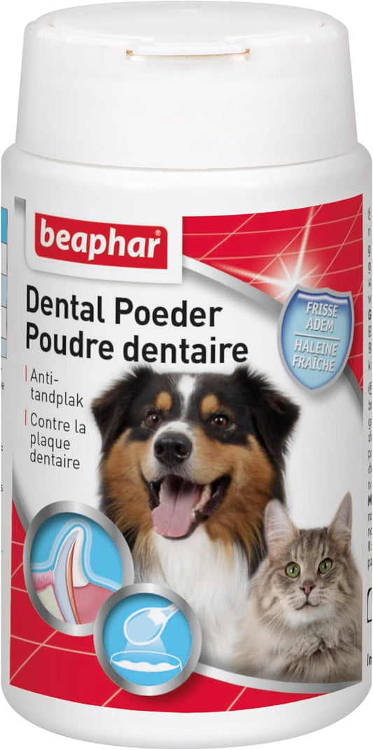 Brosse à pour dents - Poudre Dentaire