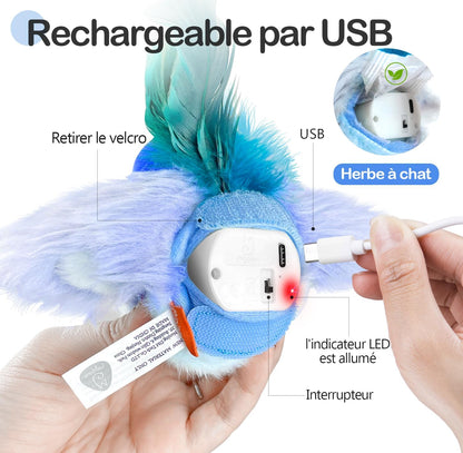 Jouet pour Chat Oiseau avec Herbe à Chat