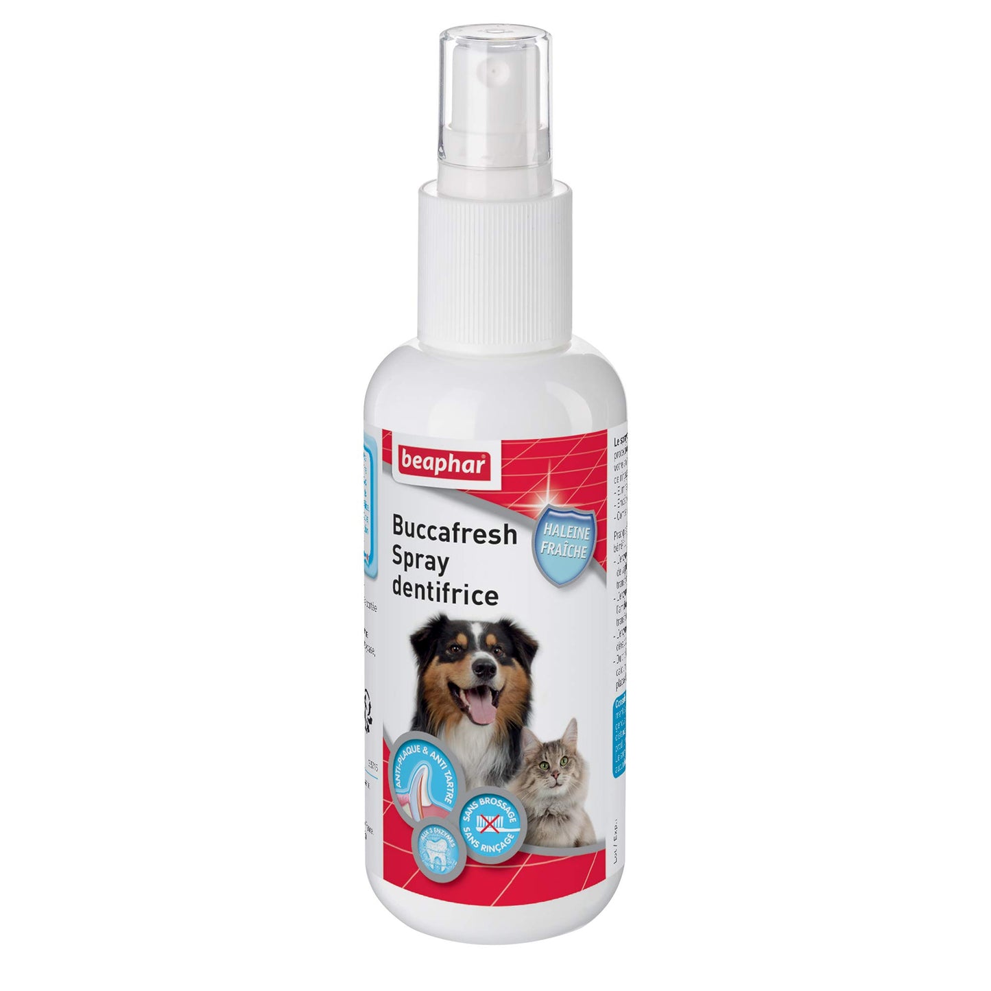 Brosse à pour dents Spray Dentifrice