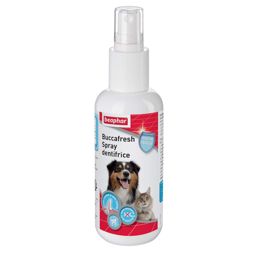 Brosse à pour dents Spray Dentifrice