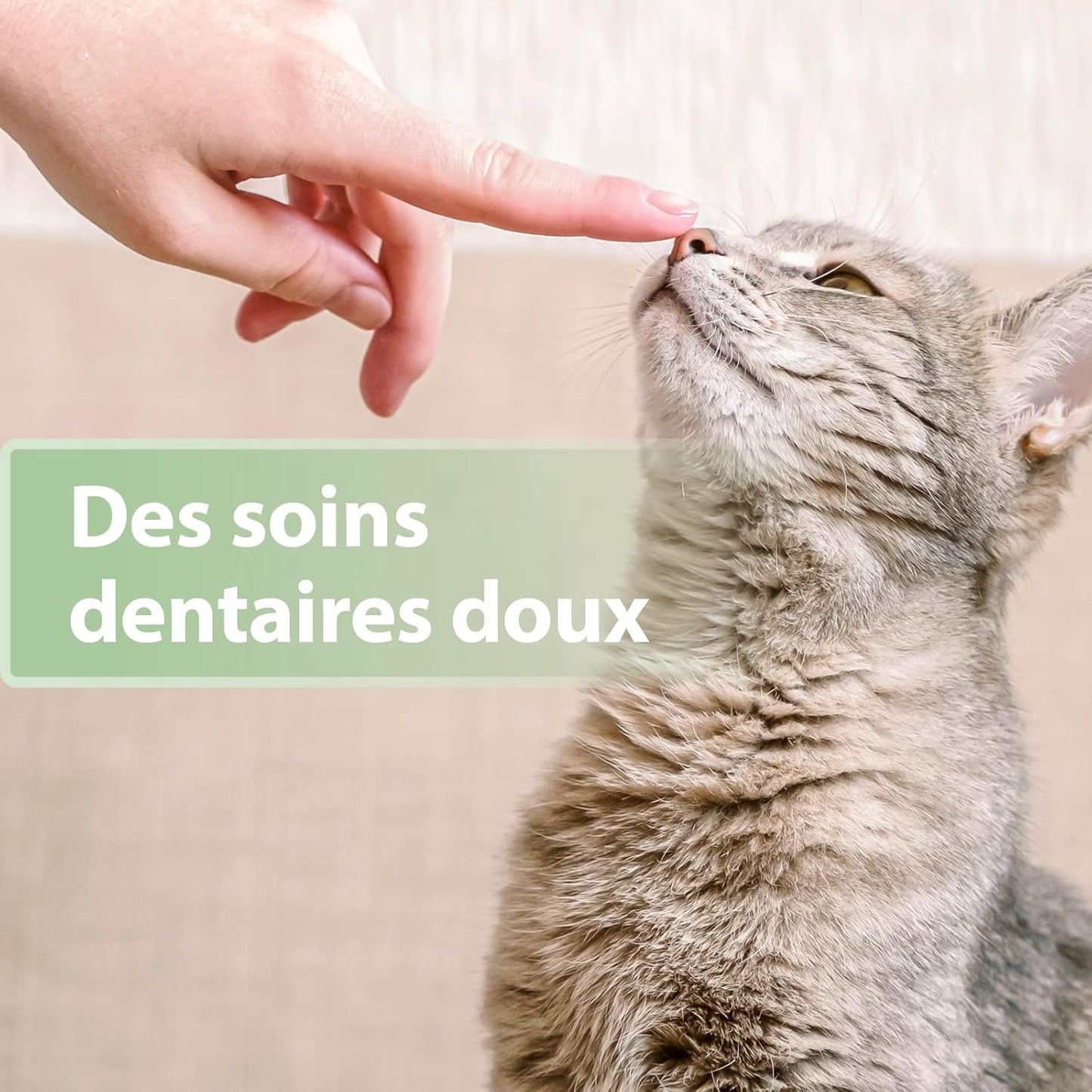 Brosse à pour dents Doigtiers 50 pcs