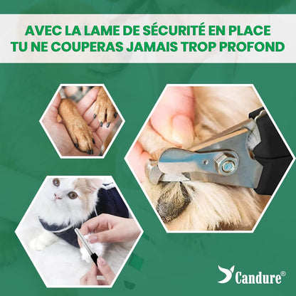 Coupe Griffes Chat + Lime