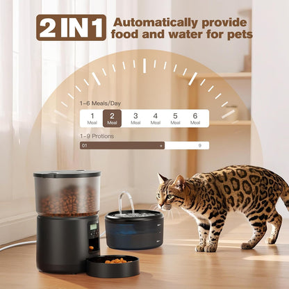 Distributeur Croquettes Chat 2,4L