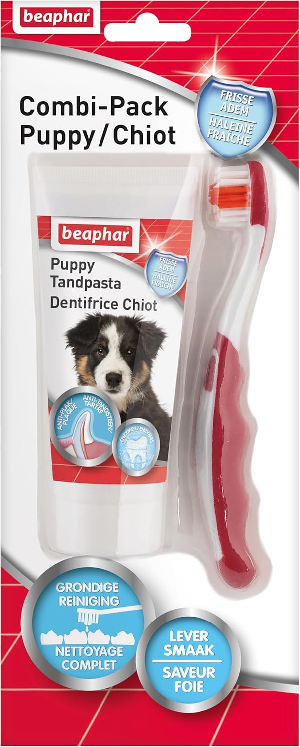 Brosse à pour dents + Dentifrice Haleine Fraîche