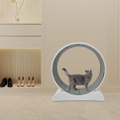 Roue pour Chat avec système de blocage