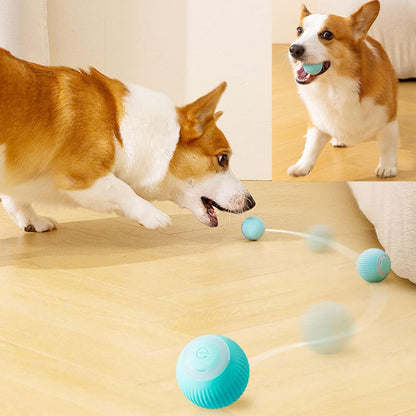 Jouet pour Chat Boule avec lumière LED