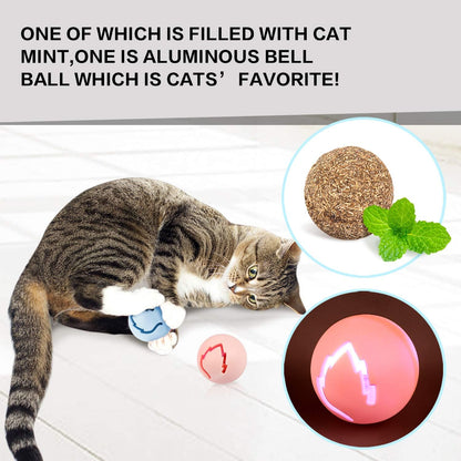 Jouet pour Chat 2 en 1