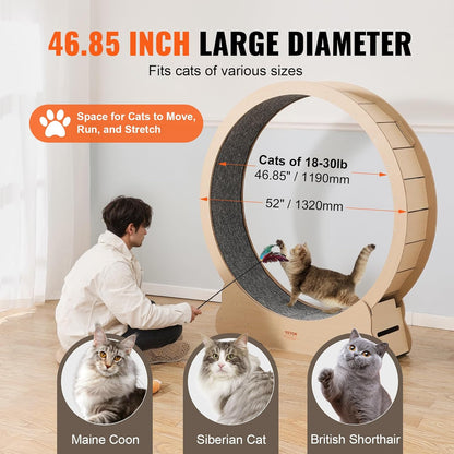 Roue pour Chat 132cm