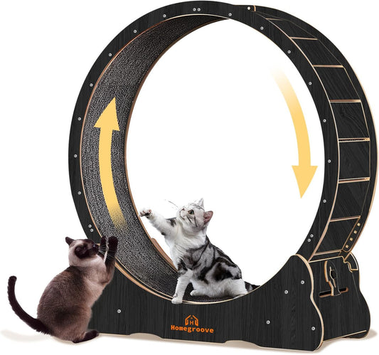 Roue pour Chat  110 cm