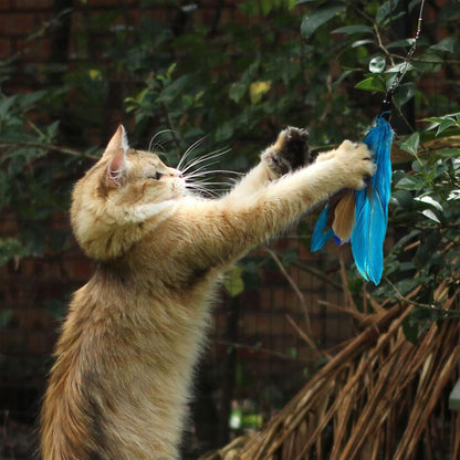 Jouet pour Chat 9 PCS