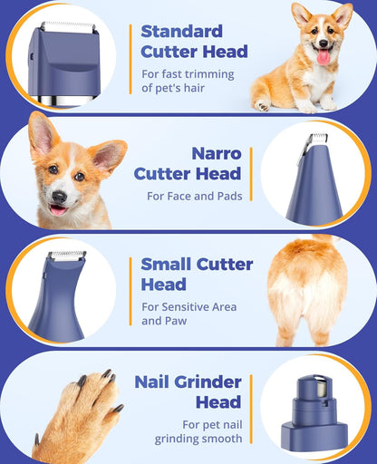 Toilettage chat Tondeuse