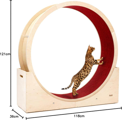 Roue pour Chat 120 cm/140 cm