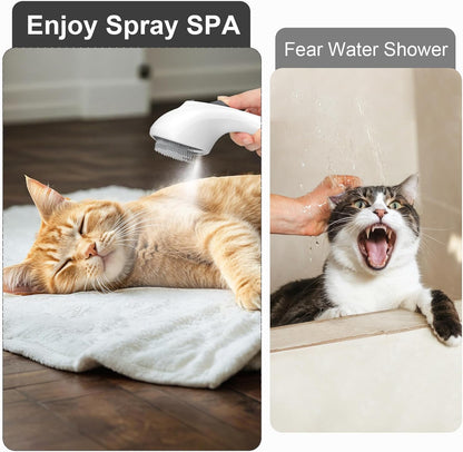 Brosse Chat Vapeur