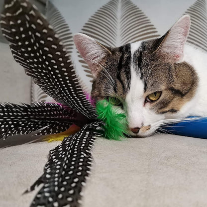 Jouet pour Chat 9 PCS