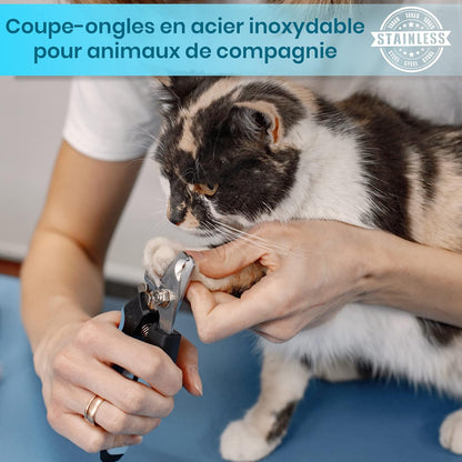 Coupe Griffes Chat + lime