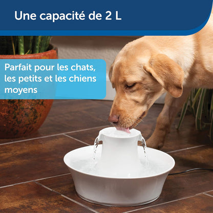 Fontaine à Eau Chat Céramique 2L