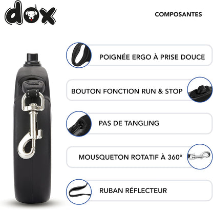Laisse pour Chat 3m