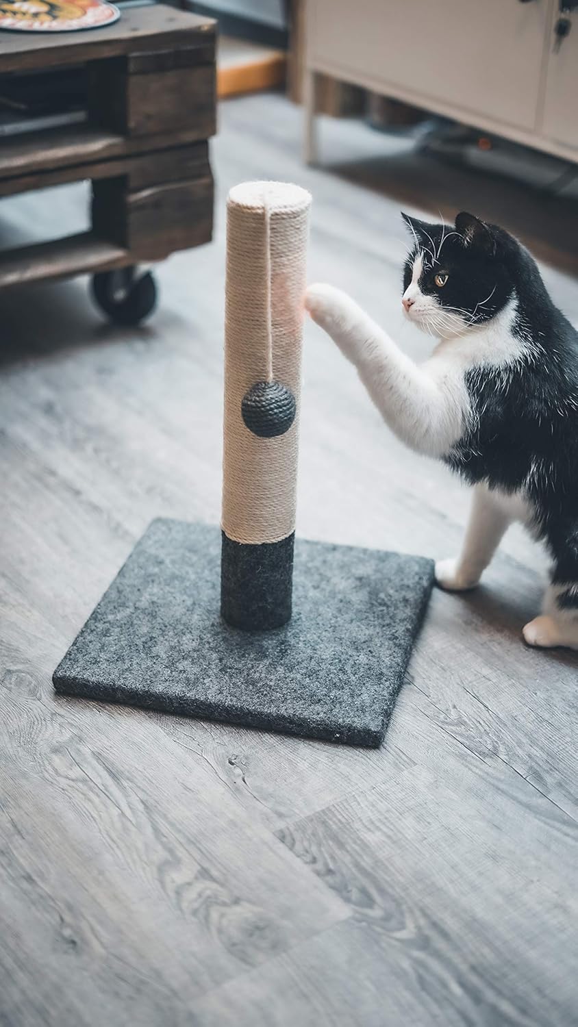 Griffoir pour Chat 42 cm