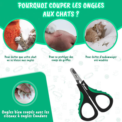 Coupe Griffes Chat