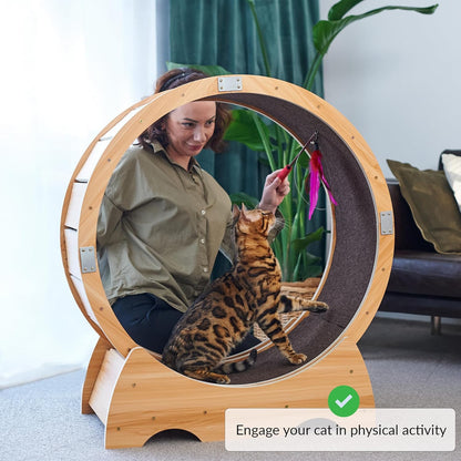 Roue pour Chat, Roue d'exercice
