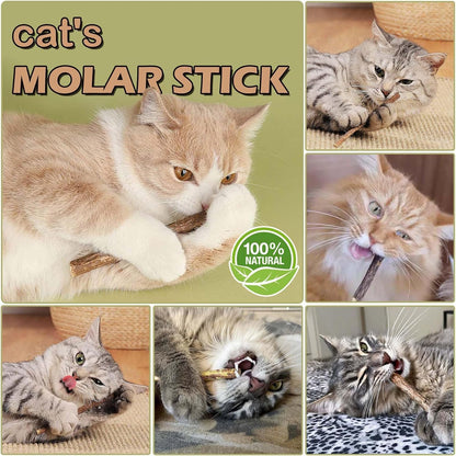 Bâton à Mâcher (30 PCS)