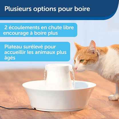 Fontaine à Eau Chat Céramique 2L