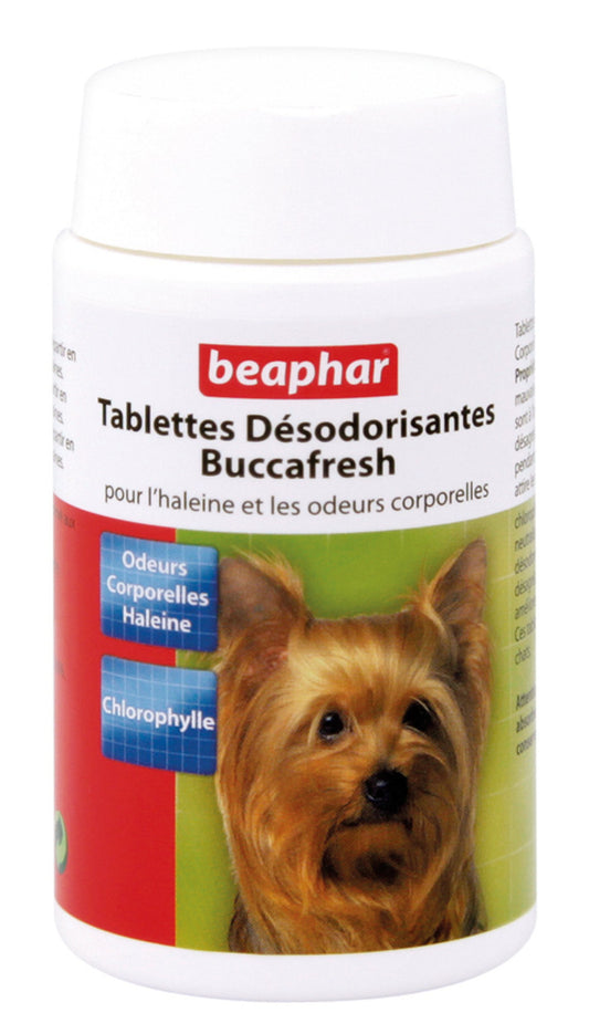 Brosse à pour dents Comprimés haleine fraîche