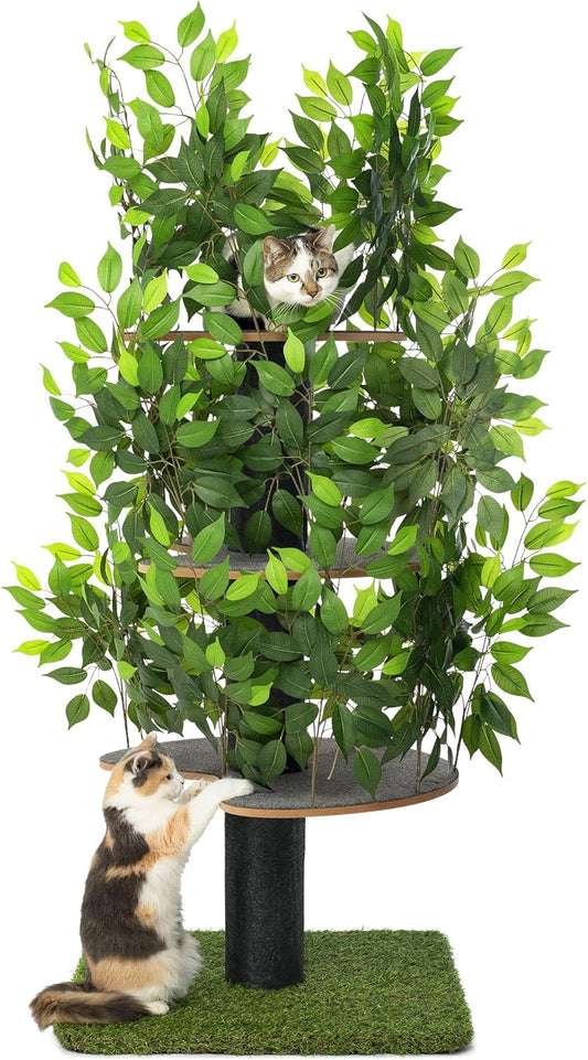 Arbre à Chat pour Grimper, se Cacher et Dormir