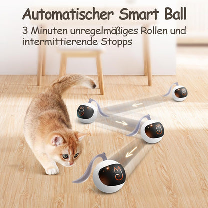 Jouet pour Chat Traqueur