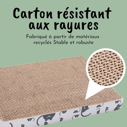 Griffoir Chat avec Herbe à Chat