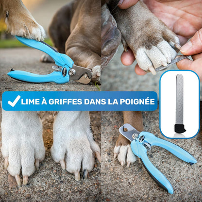 Coupe Griffes Chat + Lime