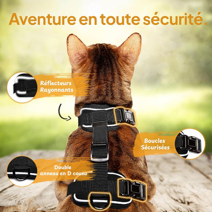 Laisse pour Chat 1.4m