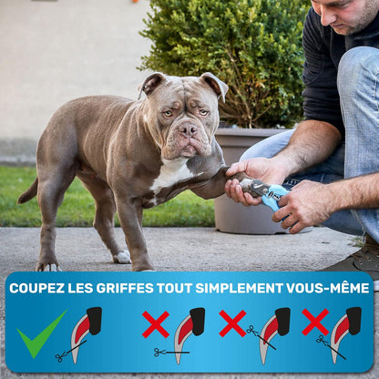 Coupe Griffes Chat + Lime